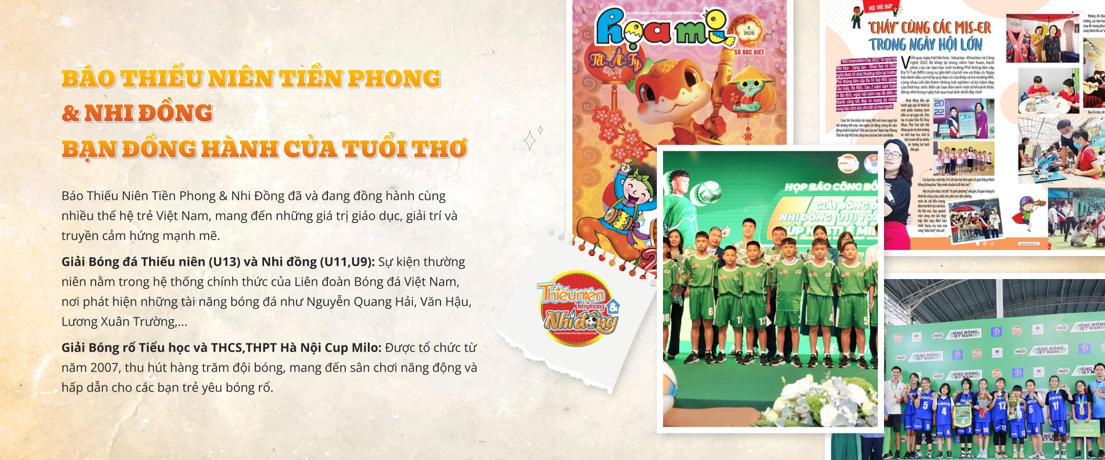 những Giải đấu tiêu biểu